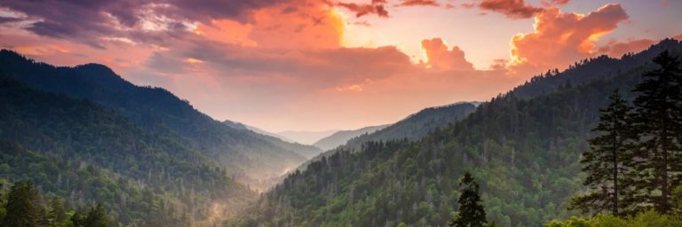 Cover Time Wellness Tennessee anxiety treatment centers tennessee 768x256