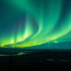 Aurora Borealis shining in the night sky with trees