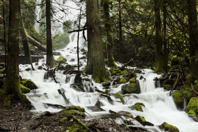 Chattanooga, Tenn., Sewage Overflow Hits South Chickamauga Creek