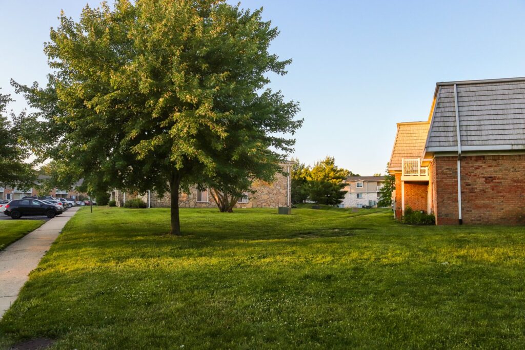 Apartment buildings and lawn